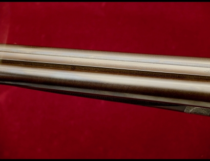 Foto Fucile Matricola: $escape_fucile