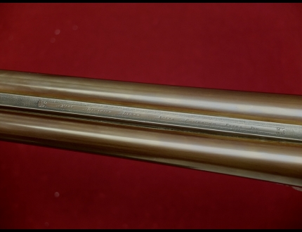 Foto Fucile Matricola: $escape_fucile