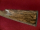 FRANCHI - 11664