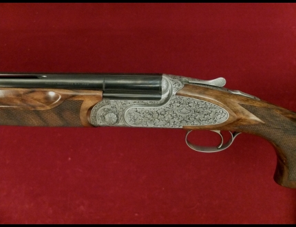 78666 RIZZINI ARMI 2011