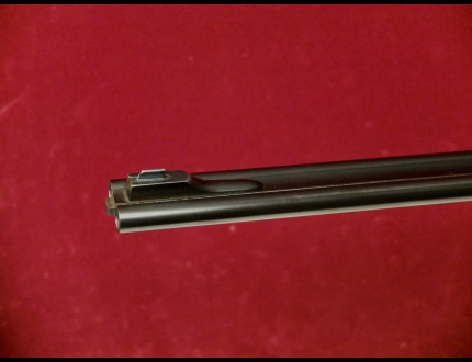 Foto Fucile Matricola: $escape_fucile