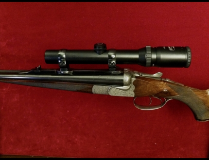 2462 PERUGINI & VISINI 1995