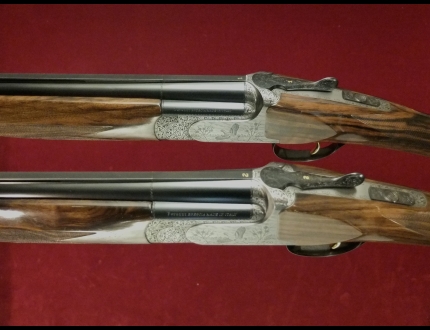 Foto Fucile Matricola: $escape_fucile