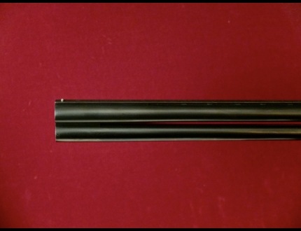 Foto Fucile Matricola: $escape_fucile