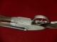 ARMITALIA DI LUCCHINI - 60928